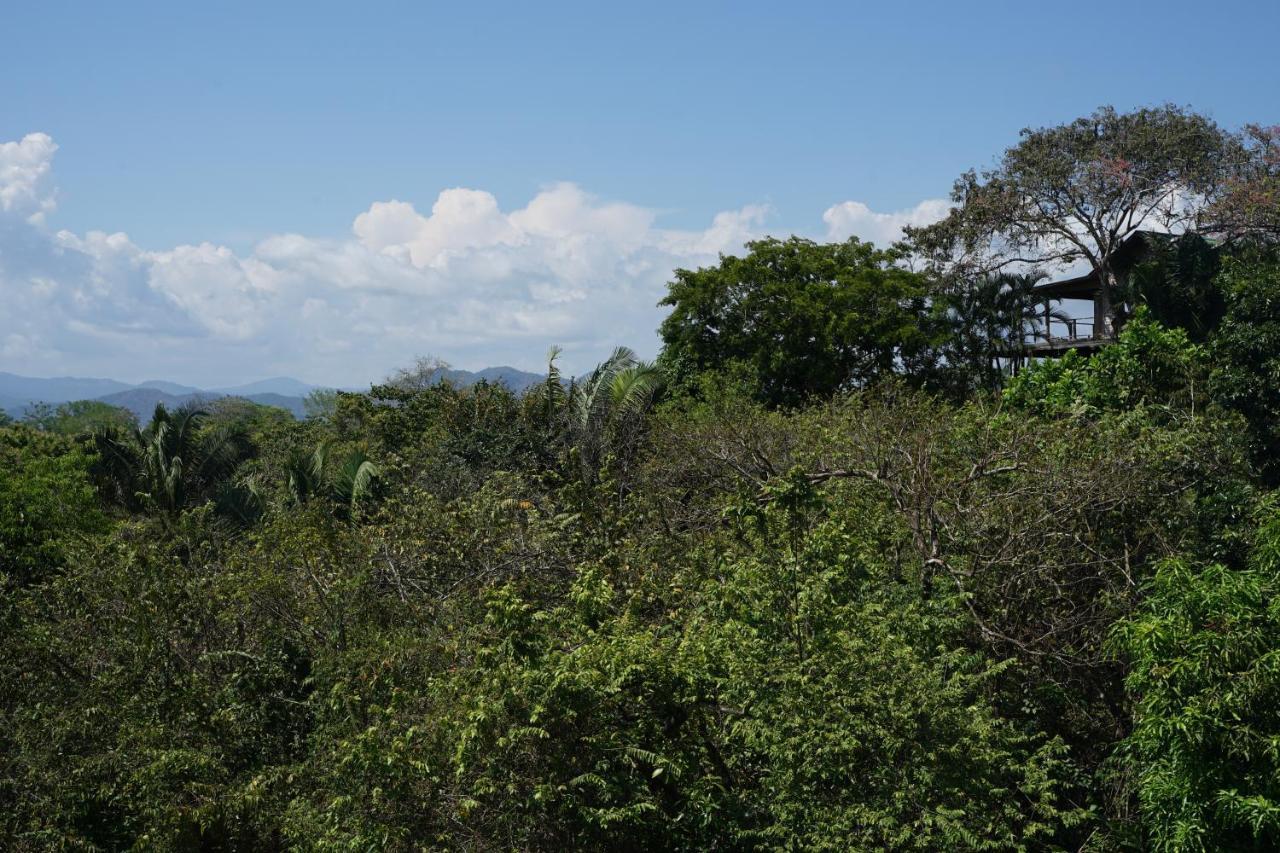 Calamocha Lodge Playa Santa Teresa  エクステリア 写真